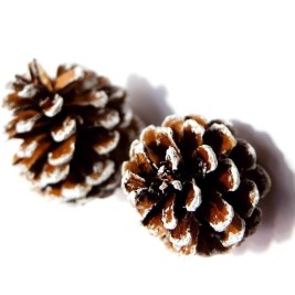 Tämän kuvan alt-attribuutti on tyhjä; Tiedoston nimi on pexels-photo-793519-e1575126576782.jpeg